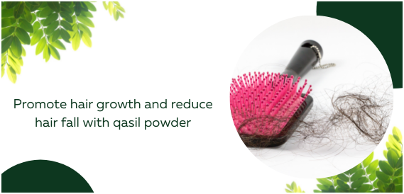 Promote hair growth and reduce hair fall with qasil powder